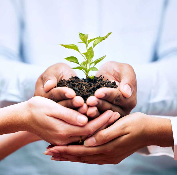 Shot of a group of businesspeople holding a plant 2023 11 27 04 50 13 utc